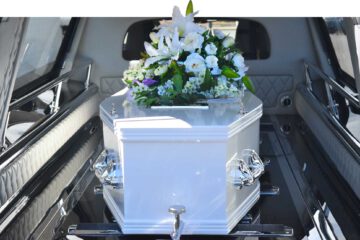 Z-kompakt 03/24 Durchblick