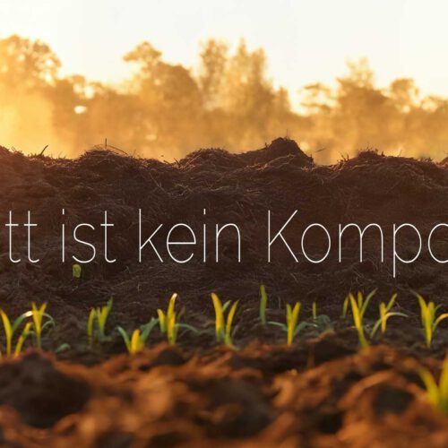 Home New Z für Zukunft in Europa