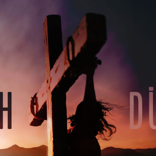 Home New Z für Zukunft in Europa