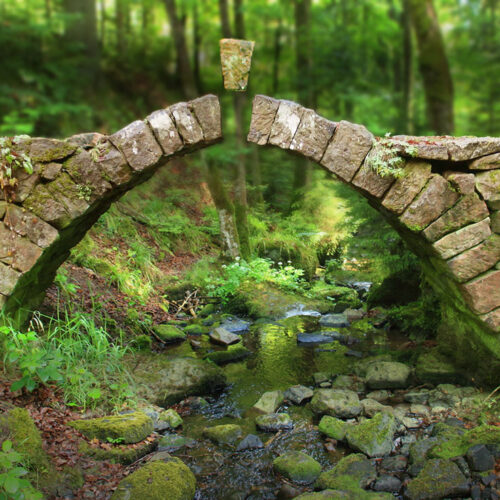 Home New Z für Zukunft in Europa